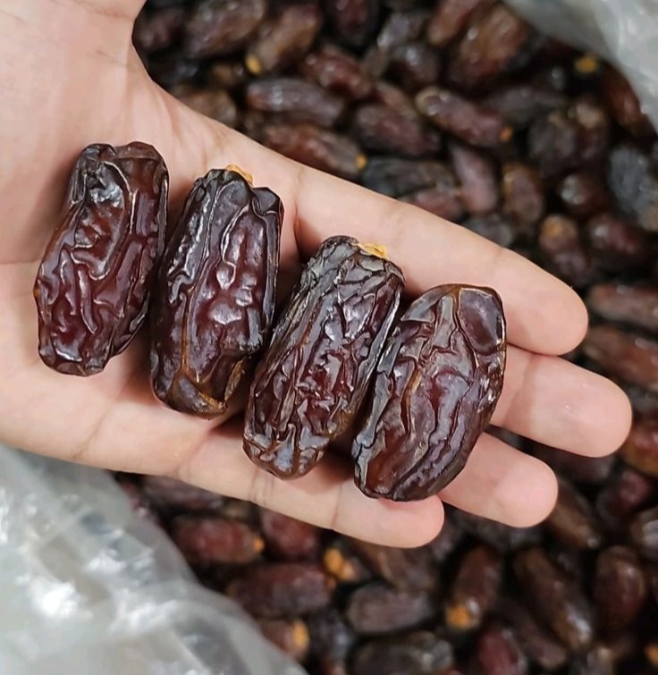 Bulk Date Fruit Supplier for Humanitarian Aid; Sustainable Supply, Bulk Pricing & Global Humanitarian Logistics